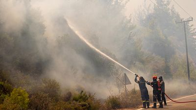 Los incendios se expanden por el Mediterráneo y se cobran más de 40 muertes           