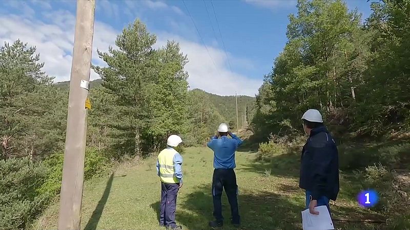 Renoven el conveni per revisar les línies elèctriques per evitar incendis