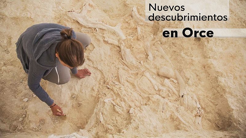 Nuevos hallazgos en Orce - Ver ahora