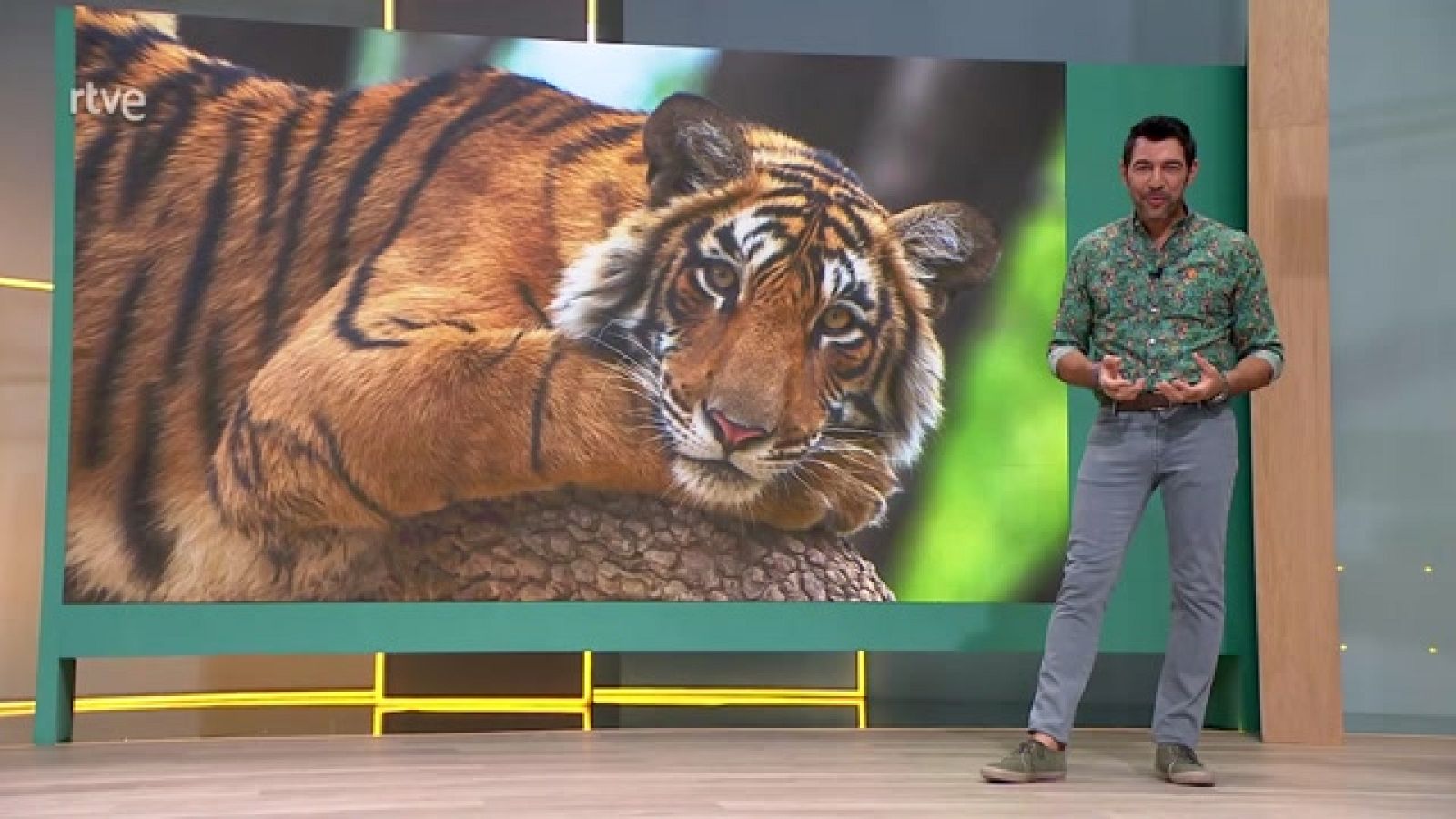 Aquí la Tierra - 27/07/23 - ver ahora