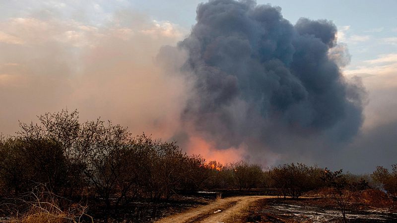 Las llamas devoran el Mediterráneo: los incendios avanzan en Grecia e Italia 
