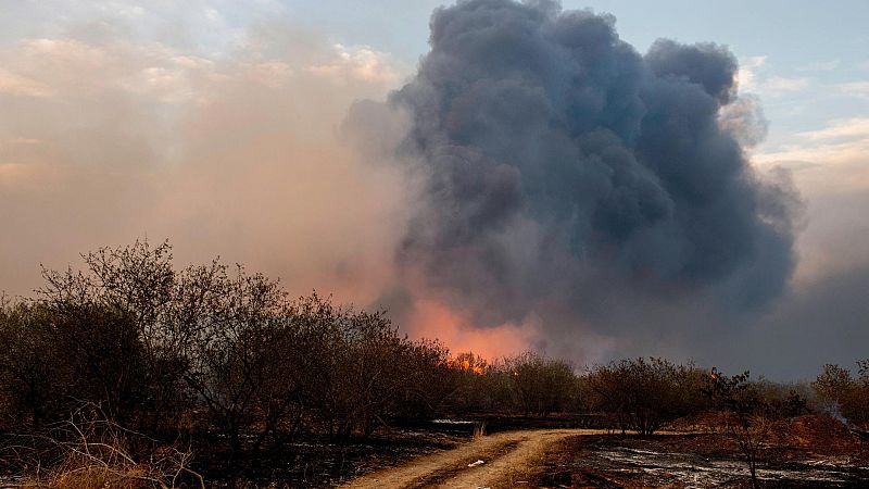 Las llamas devoran el Mediterráneo: los incendios avanzan en Grecia e Italia 