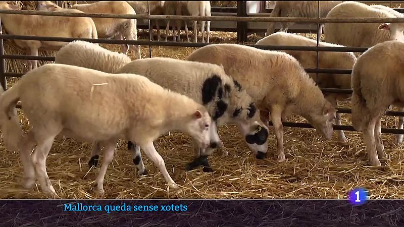 Mallorca queda sense xotets - 28/07/23 - Veure ara