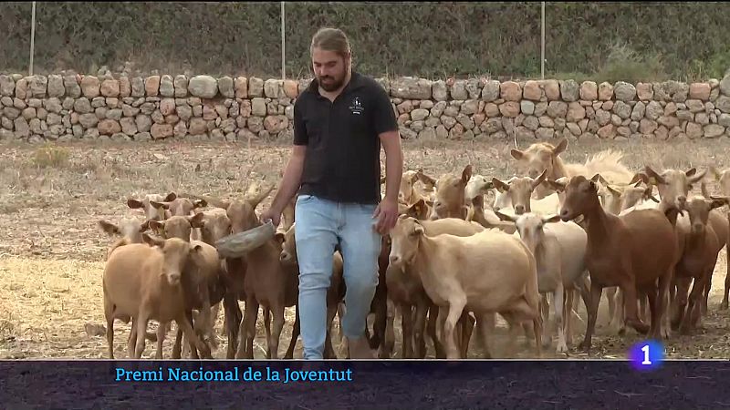 Menció d'honor per a un jove ramader d'Inca - 28/07/23 - Veure ara