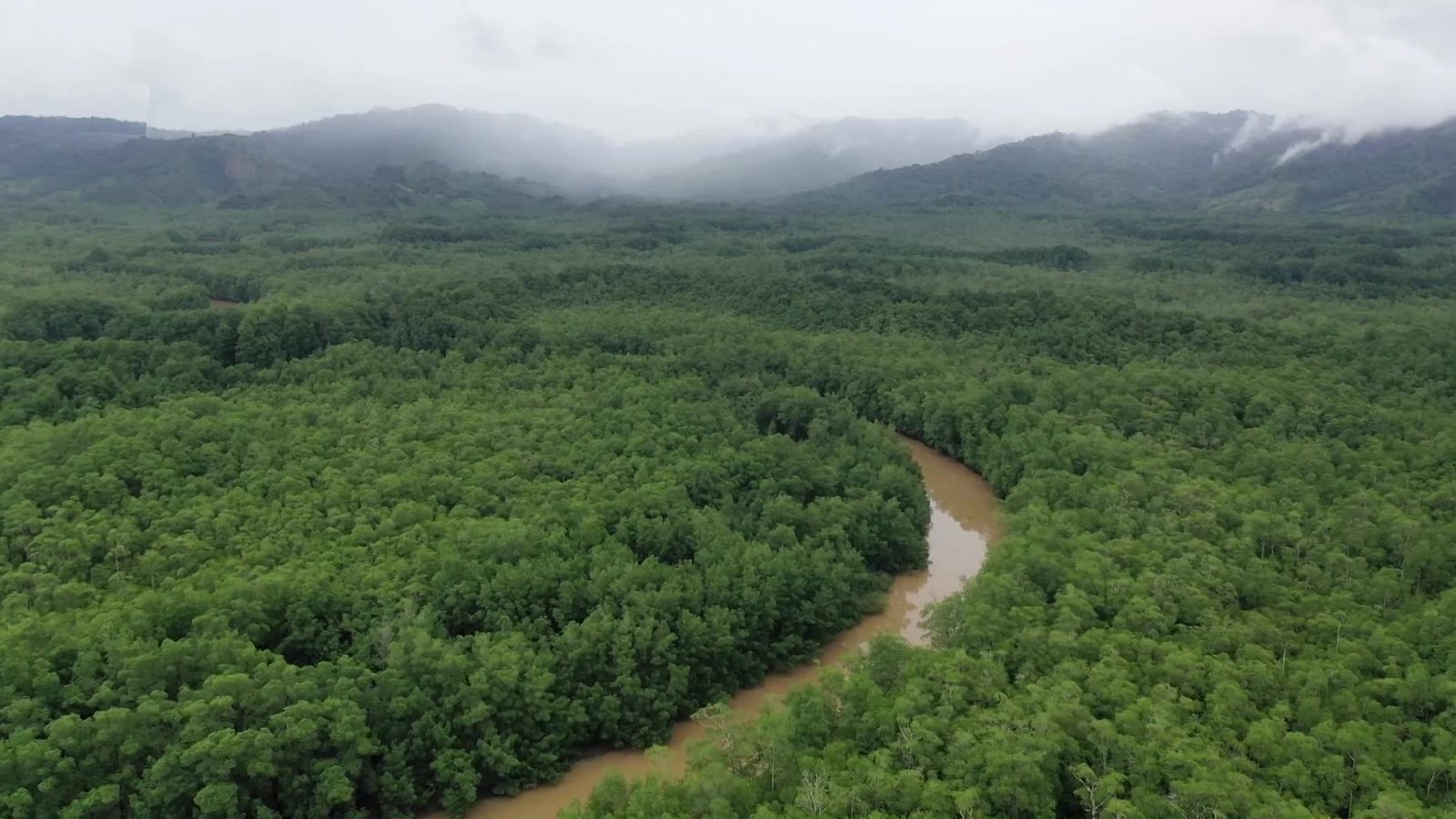 Turismo rural en el mundo - Bolivia 1: La Chiquitanía y el bosque amazónico