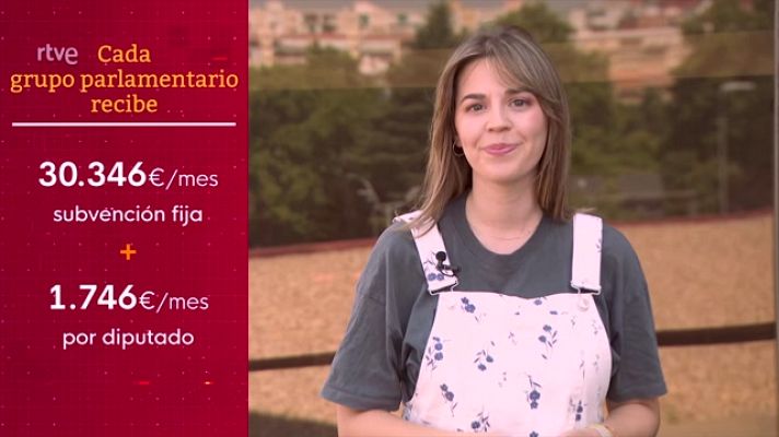 Parlamento - Requisitos de los grupos parlamentarios