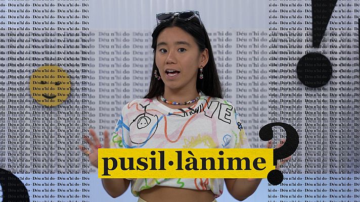 Déu n'hi do - L'article salat, les coses que "molen" i els barbarismes