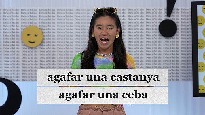 Déu n'hi do - Les borratxeres en català, "perdre oli" i internet