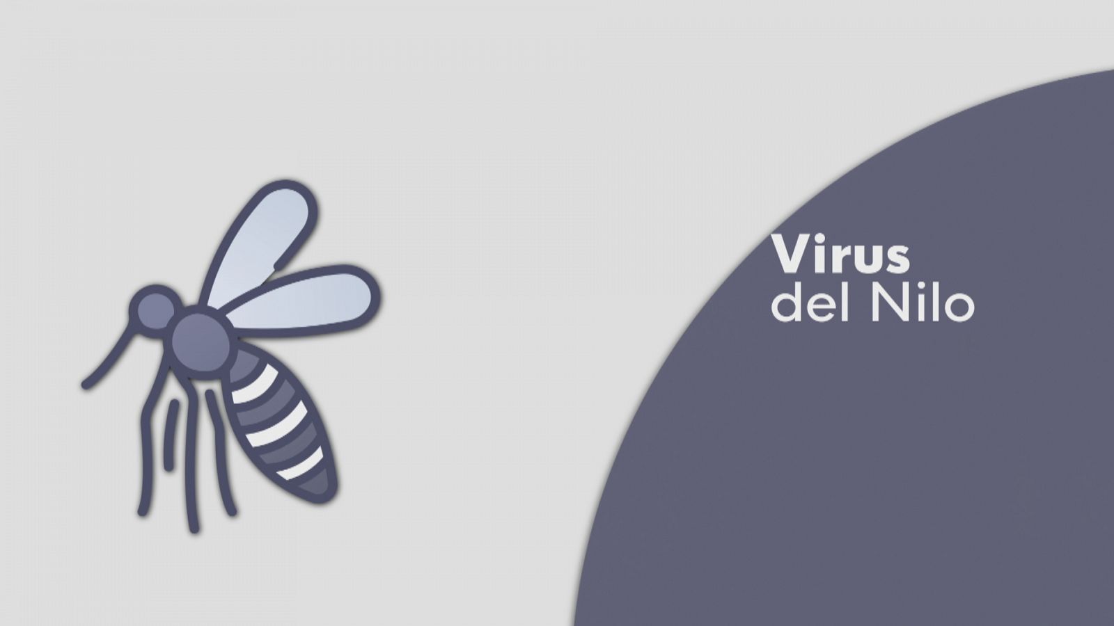 Detectan mosquitos con virus de la Fiebre del Nilo