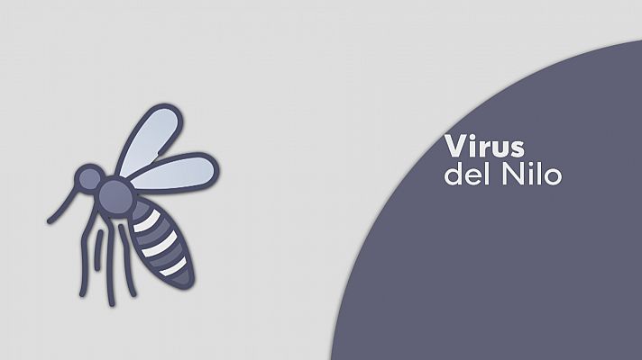 Noticias Andalucía - Detectan mosquitos con virus de la Fiebre del Nilo