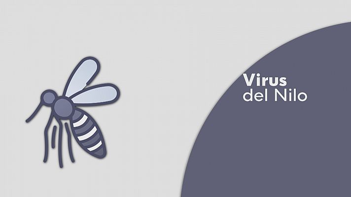 Detectan mosquitos con virus de la Fiebre del Nilo