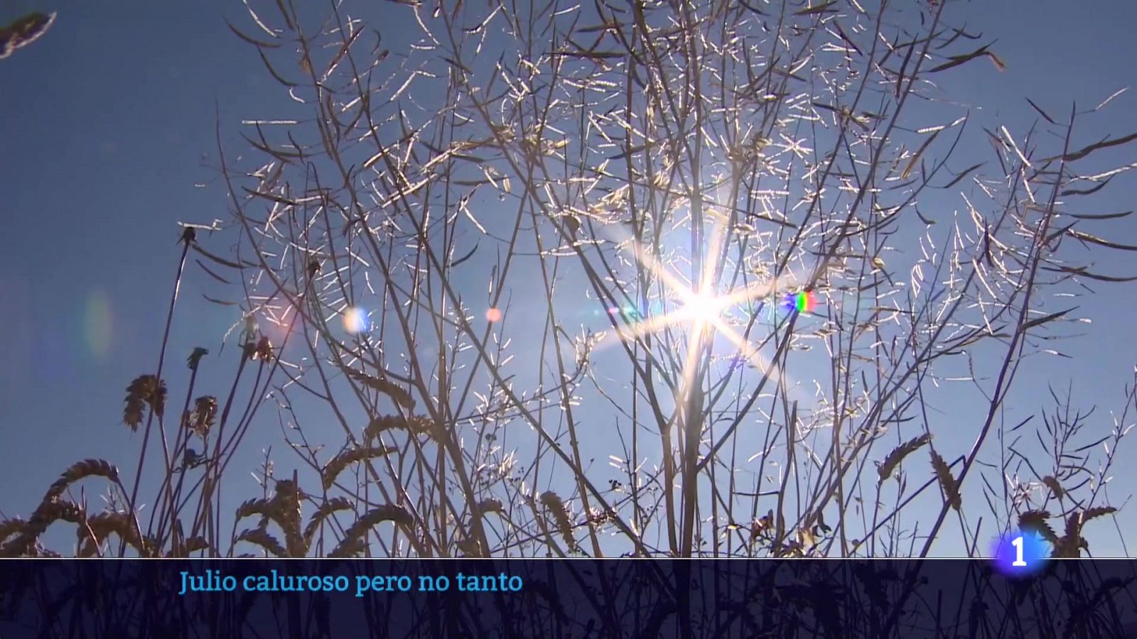 Informativo Telerioja  - 01/08/23 - RTVE.es