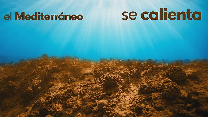 El cambio climático en el Mediterráneo