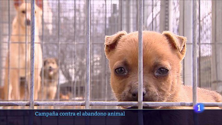 Informativo Telerioja - Telerioja en 2' - 01/08/23