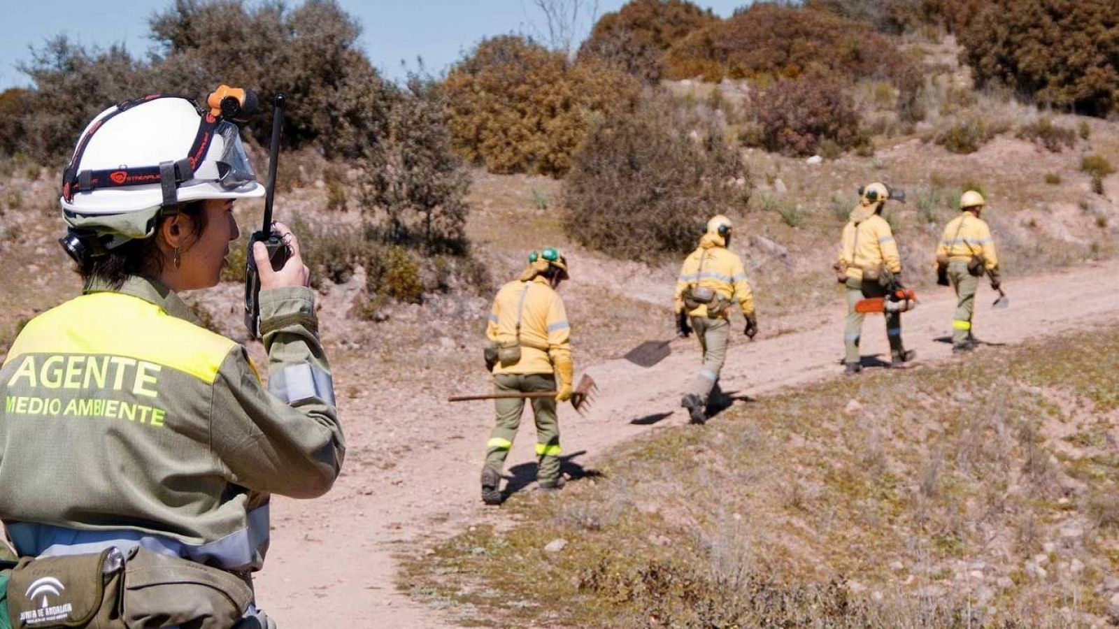 Incendio en la Línea de la Concepción