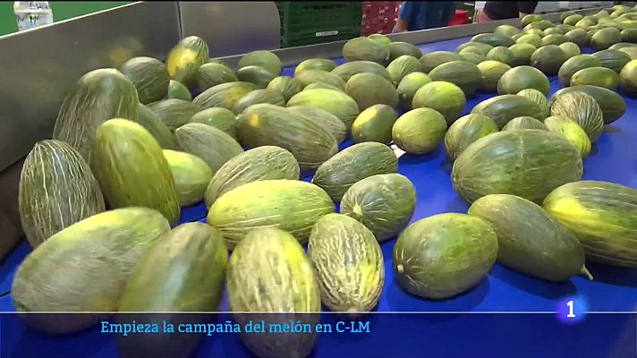 Primeros melones de la temporada en Castilla-La Mancha