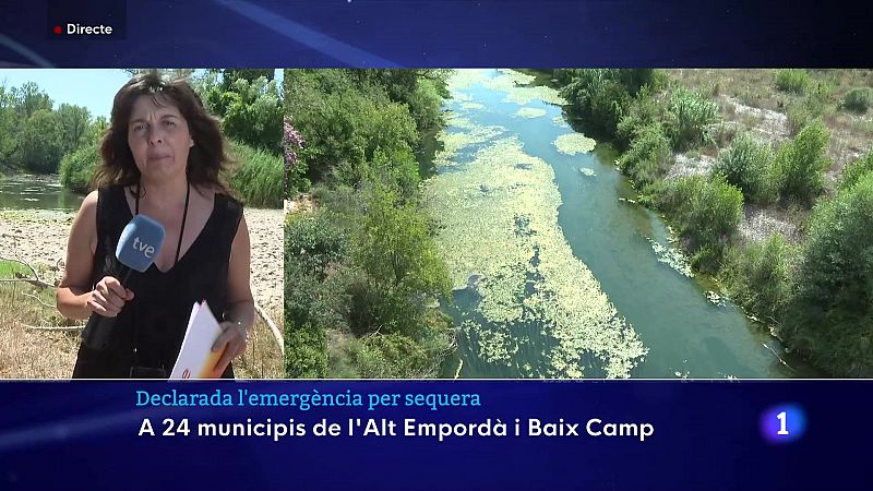 Declarada l'emergència per sequera: afecta 22 municipis de l'Alt Empordà i 2 municipis del Baix Camp