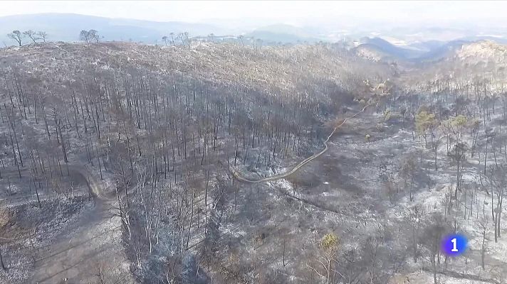 L'Informatiu - La recuperació dels boscos després d'un incendi triga entre 5 i 20 anys