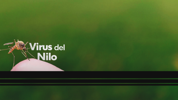 Noticias Andalucía - Prevención del Virus del Nilo