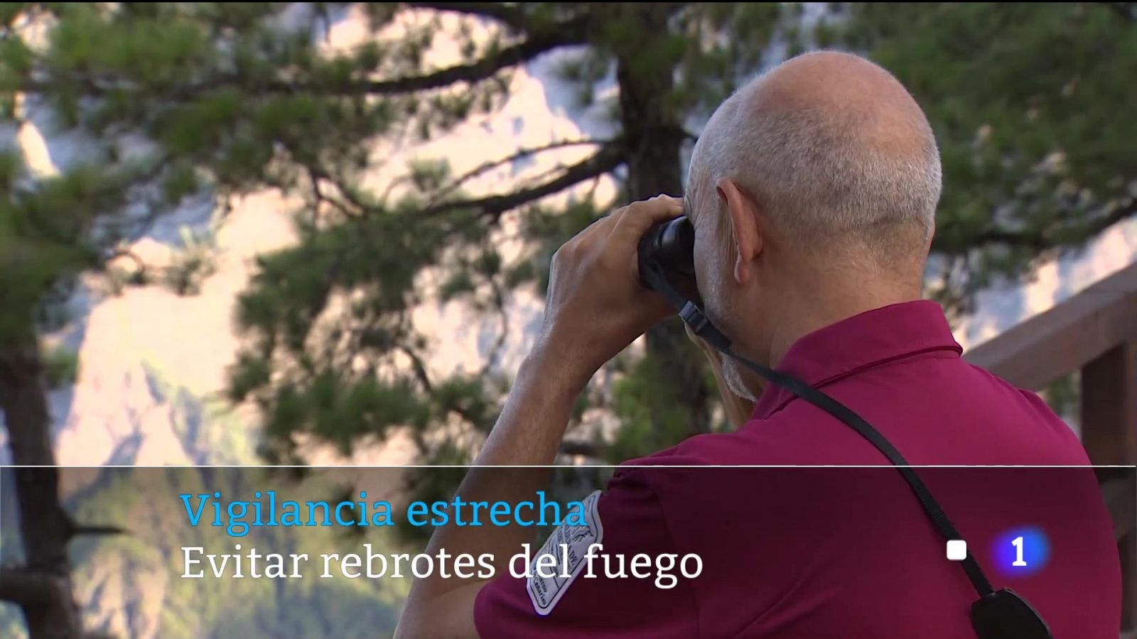 Telecanarias: Telecanarias - 04/08/2023 | RTVE Play