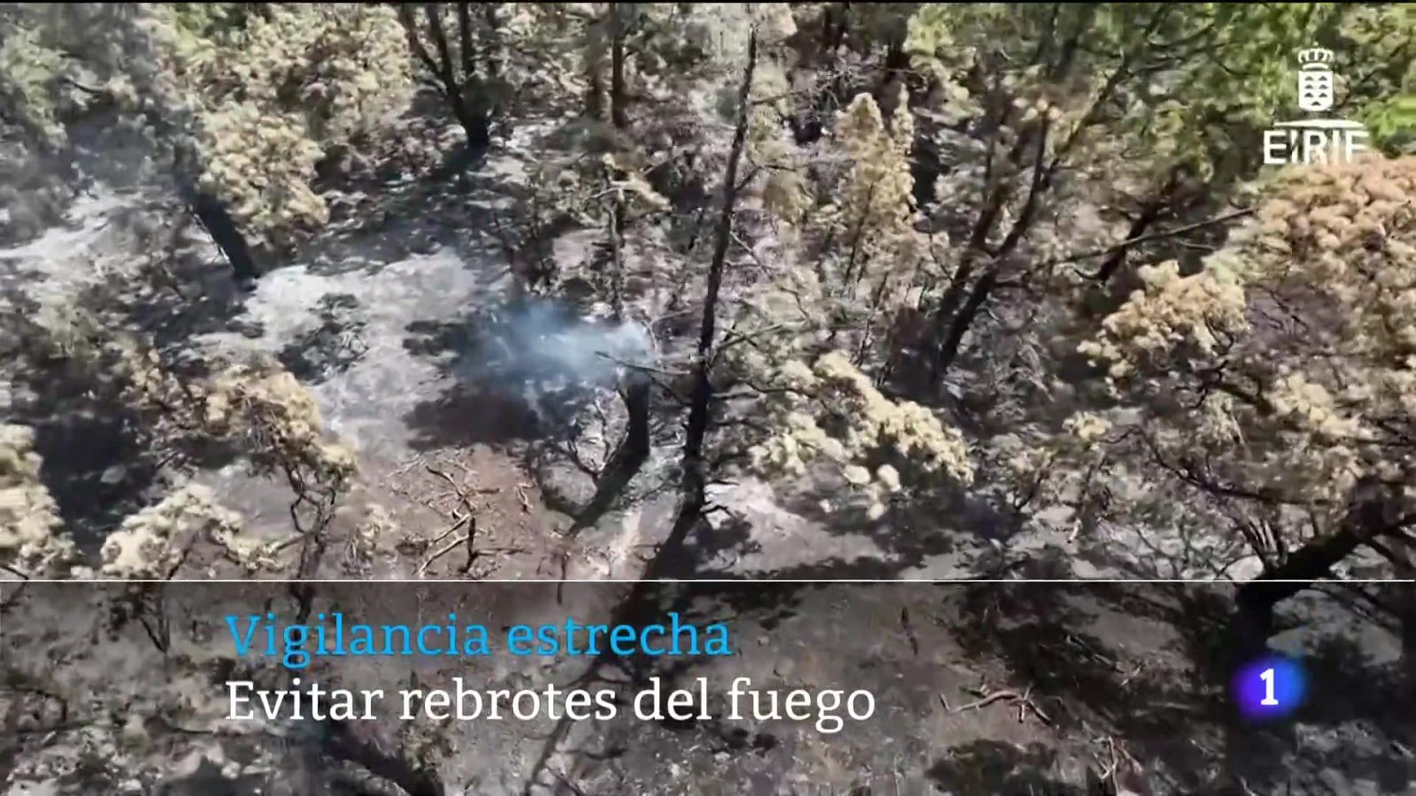 Canarias en 2' - 04/08/2023 | Ver