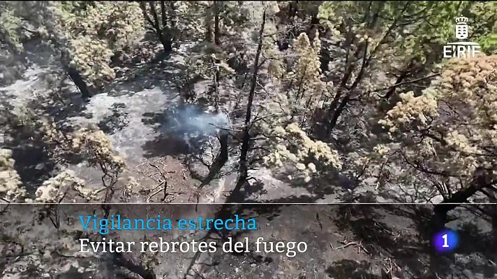 Telecanarias - Canarias en 2' - 04/08/2023