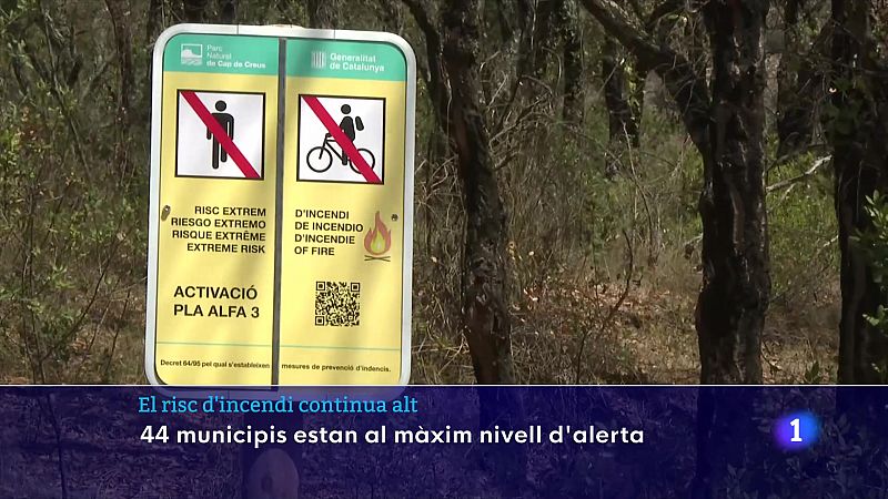 El risc d'incendi continua alt: 44 municipis estan al màxim nivell d'alerta