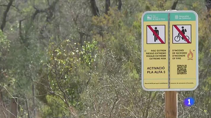 L'Informatiu - L'Informatiu 2 - 04/08/2023