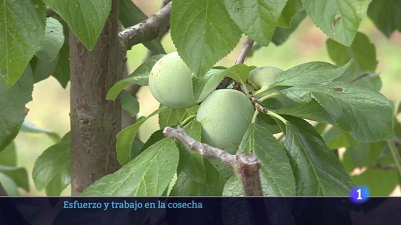 Telerioja en 2' - 04/03/23 - Ver ahora