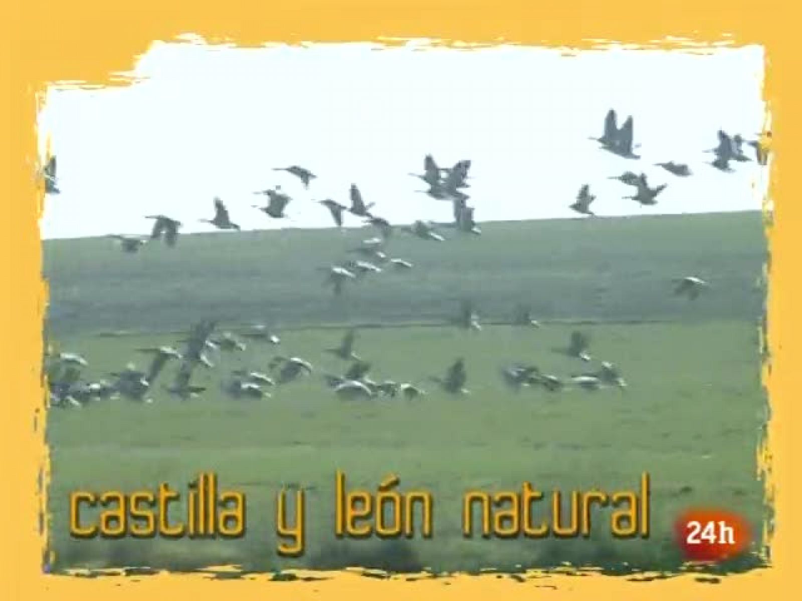 NATURAL: Llega la "slow food". (15/02/10)