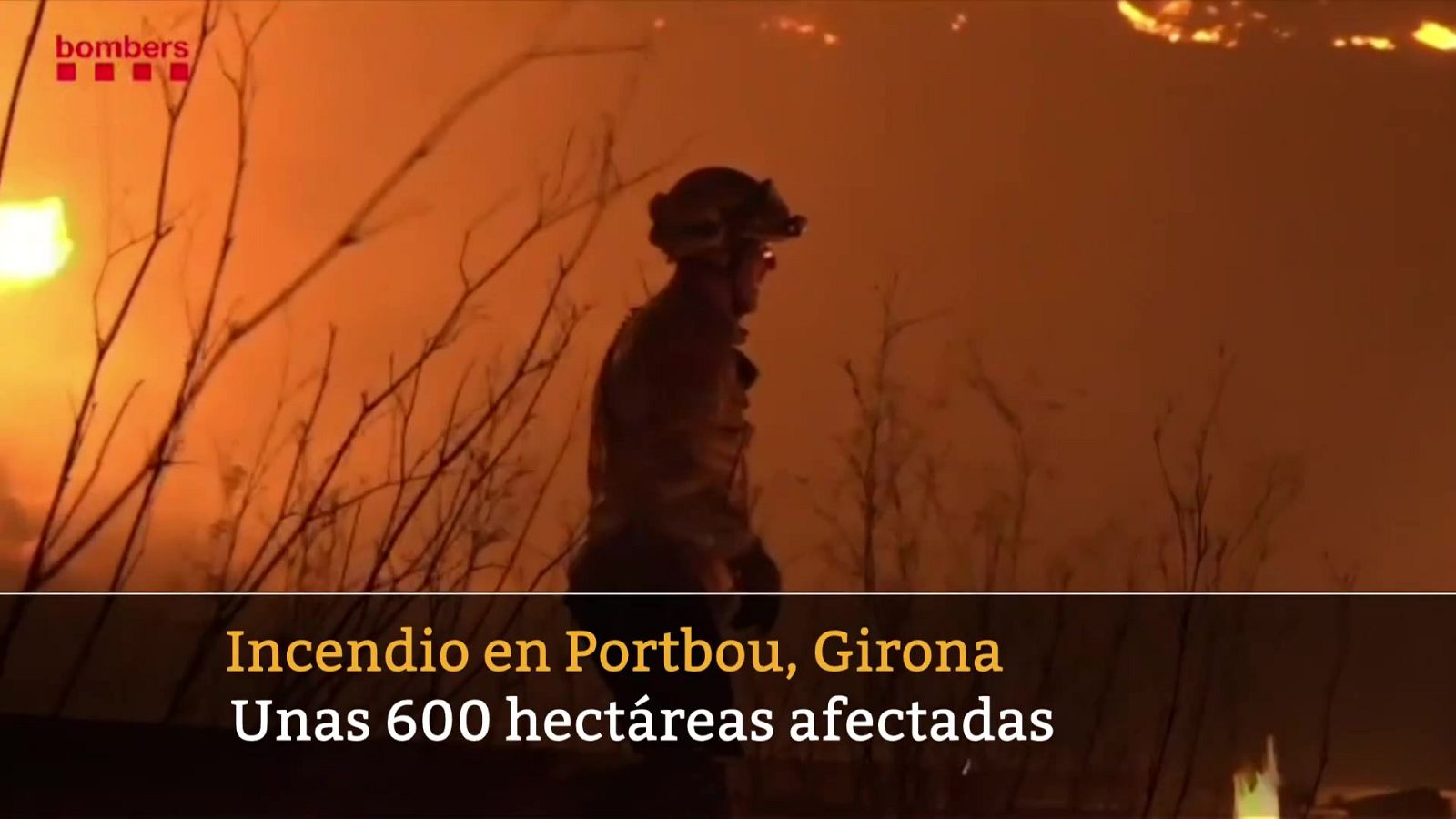 Informativo 24 horas - 20h - 05/08/23 - ver ahora