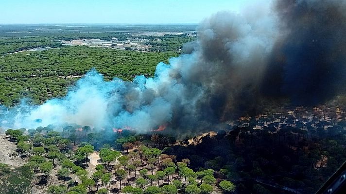 Un incendio en Bonares (Huelva) obliga a desalojar a unas 70 personas de sus viviendas