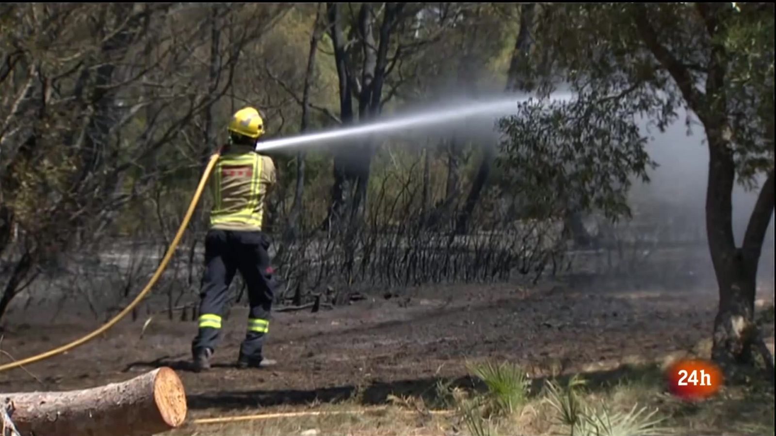 La mà de l'home darrere els focs forestals