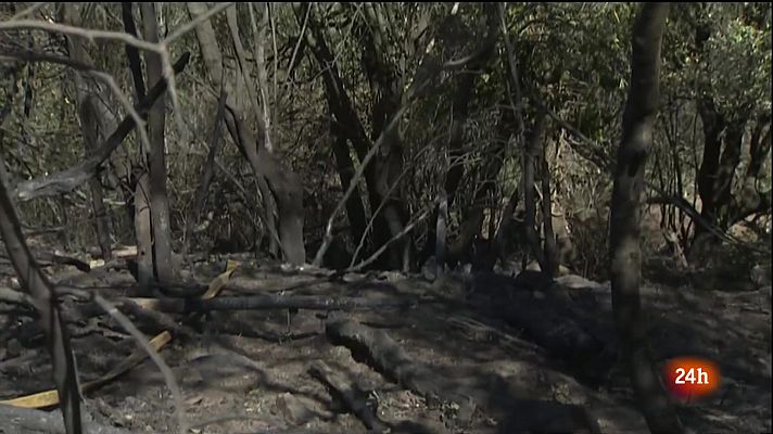 Els veïns de Portbou respiren més tranquils