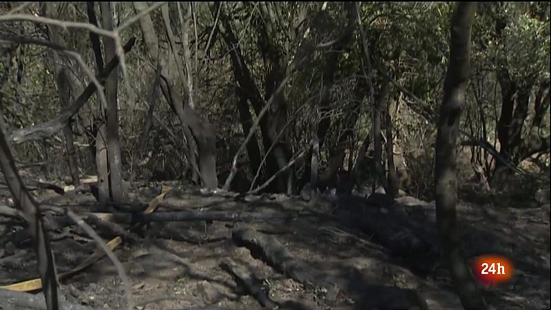 Els veïns de Portbou respiren més tranquils