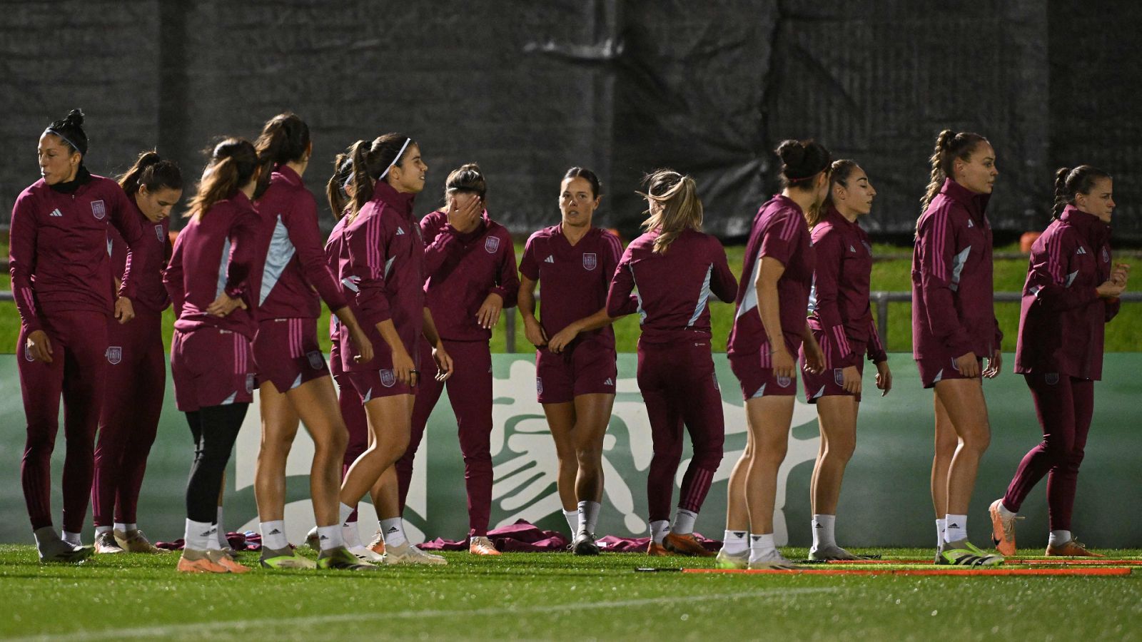 La selección, en Wellignton para preparar los cuartos de final