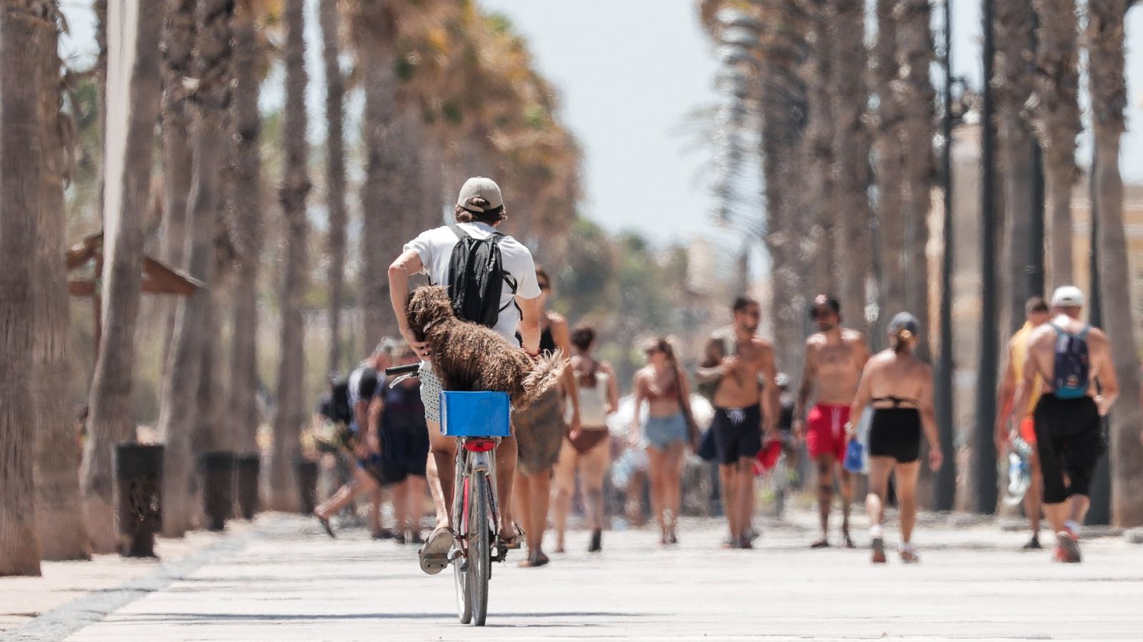 Nueva ola de calor del verano: suben las temperaturas en todo el país