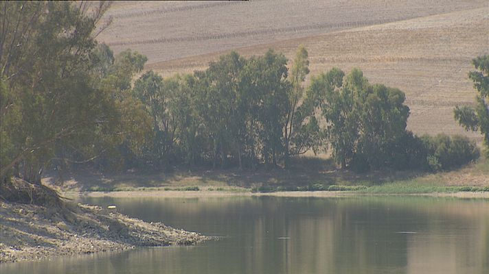 Noticias Andalucía - Embalses andaluces al mínimo