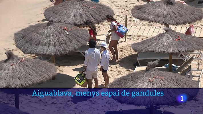 L'Informatiu - Aiguablava redueix l'espai destinat al lloguer de gandules