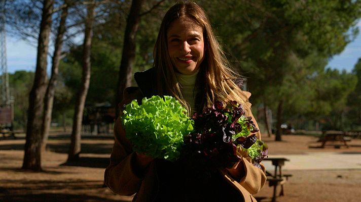 Planeta R - Cultiu hidropònic, pinyols d'oliva i jardi del silenci