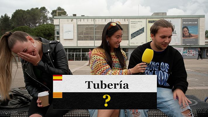 Déu n'hi do - El sanvitx, articles salats i embarbussaments