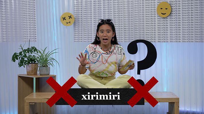 Déu n'hi do - El tràfic, el braille i "adeu-siau"