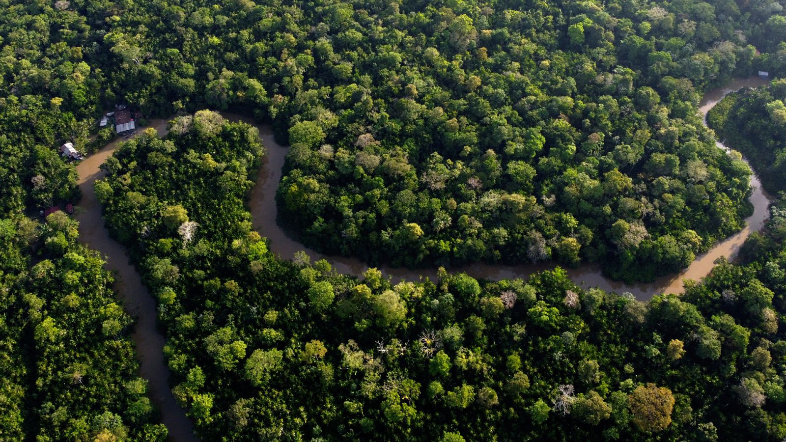 La deforestación contribuye al calentamiento global