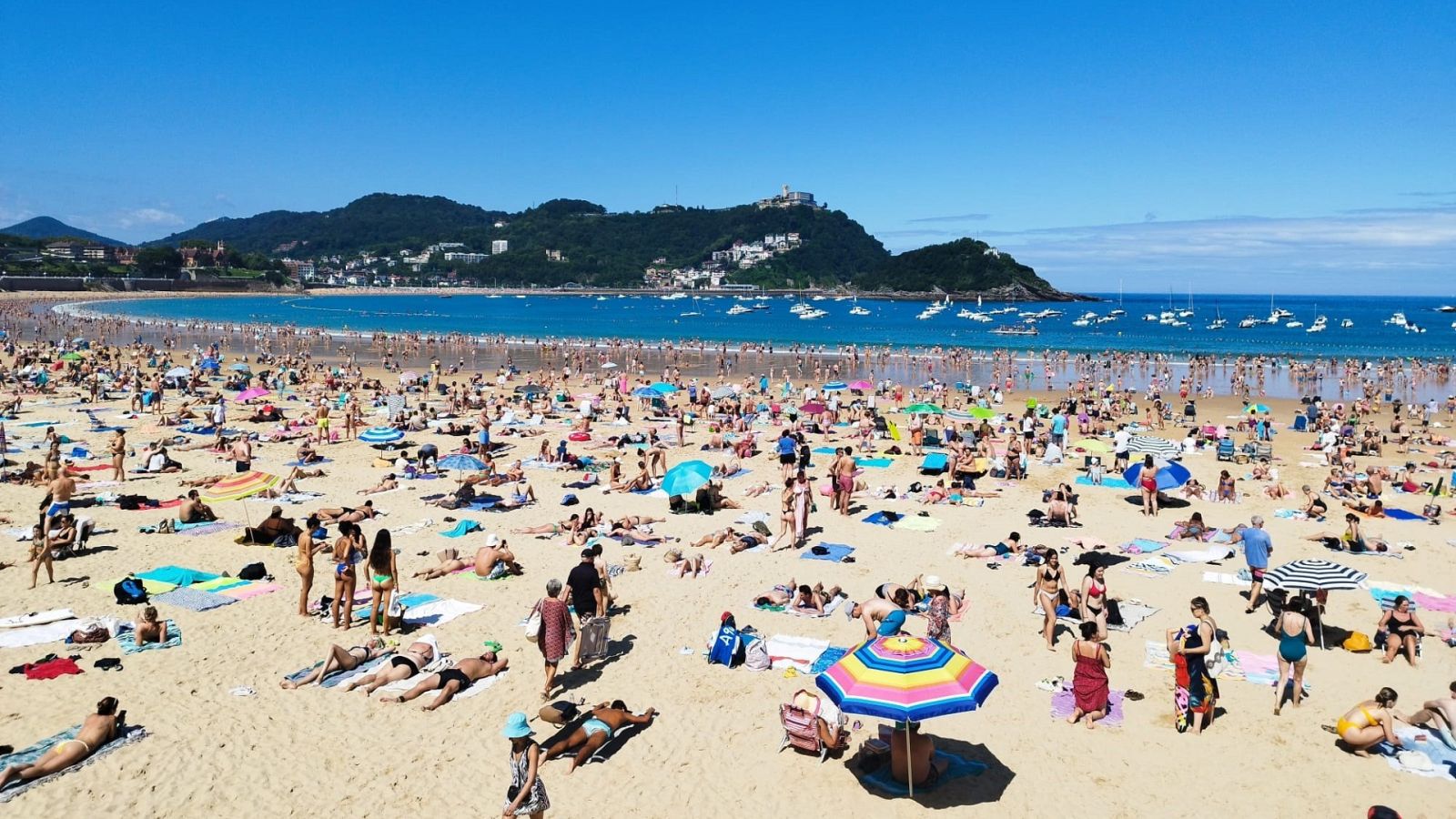 San Sebastián, en alerta por la presencia de carabelas portuguesas en sus playas | Ver