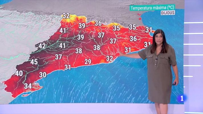 El temps - El Temps - Torna la calor forta