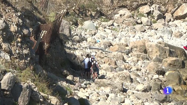 Els banyistes tornen a Illa Mateua