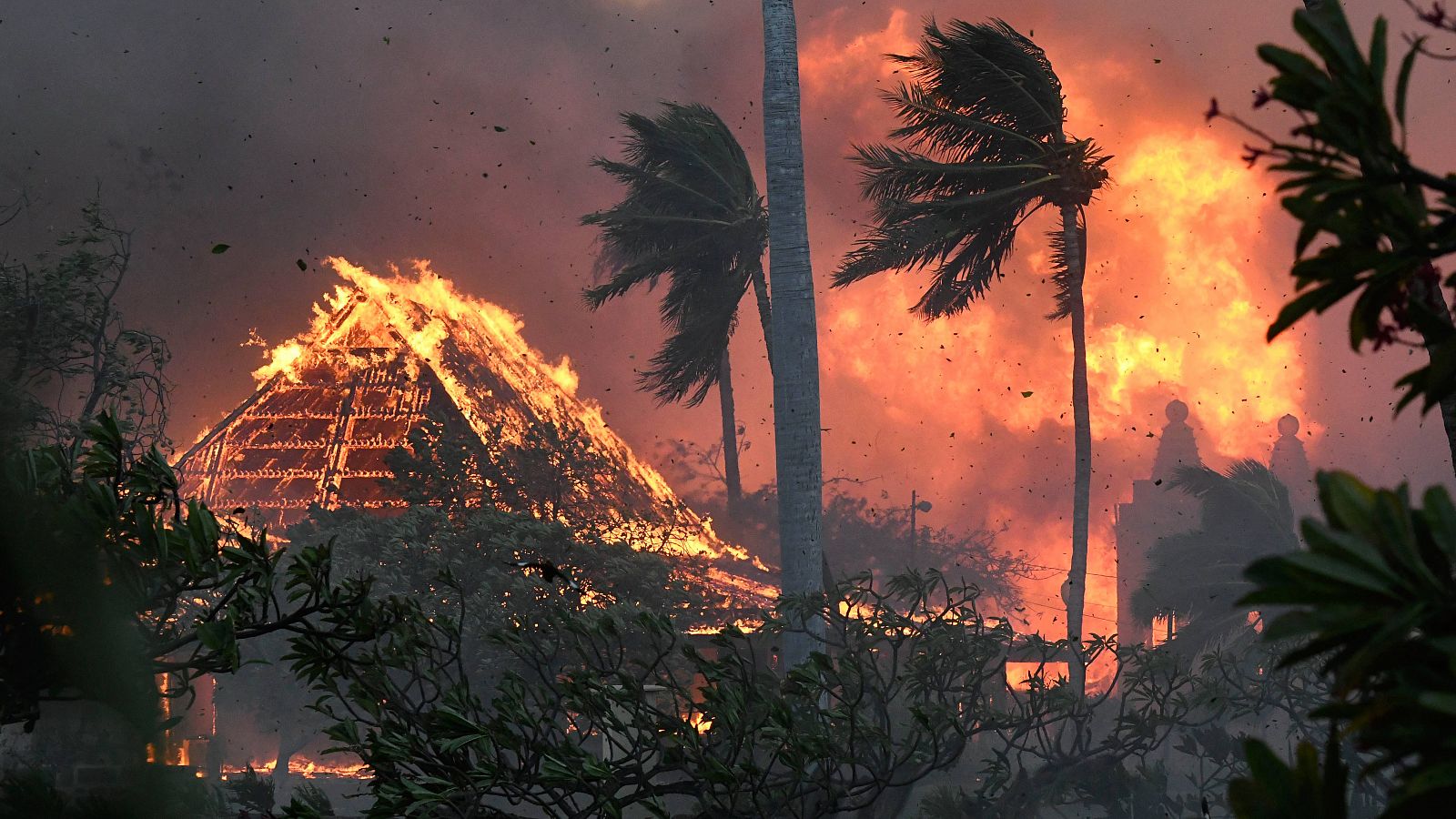 Aumentan a 36 los muertos en los incendios de Hawái, que siguen sin control | Ver