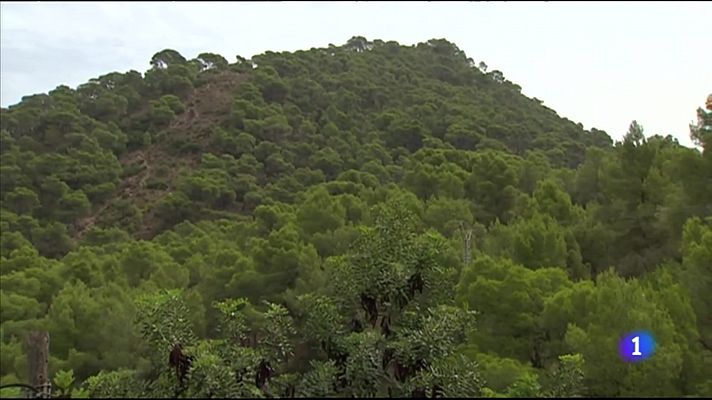 L'informatiu - Comunitat Valenciana - L'Informatiu Comunitat Valenciana 1 - 10/08/23