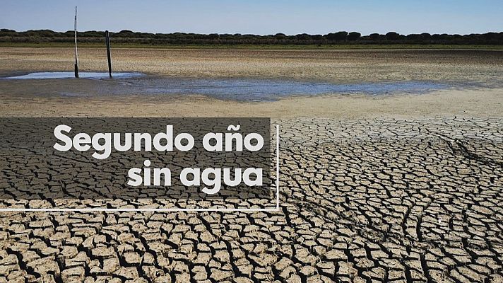 Noticias Andalucía - Se seca la última laguna permanente