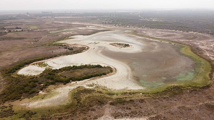 Telediario 1 - La laguna más grande de Doñana se seca por segundo año consecutivo